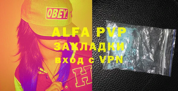 PSILOCYBIN Волосово