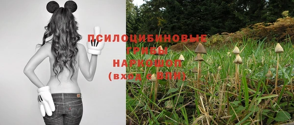 PSILOCYBIN Волосово