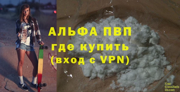 PSILOCYBIN Волосово