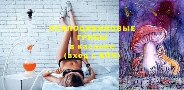 PSILOCYBIN Волосово