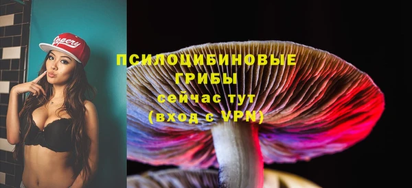 Альфа ПВП Волоколамск