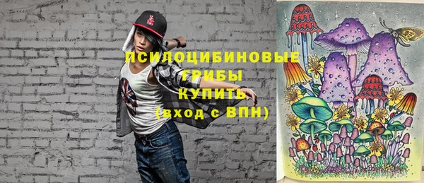 PSILOCYBIN Волосово