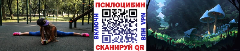 Псилоцибиновые грибы GOLDEN TEACHER  где можно купить наркотик  Приволжский 